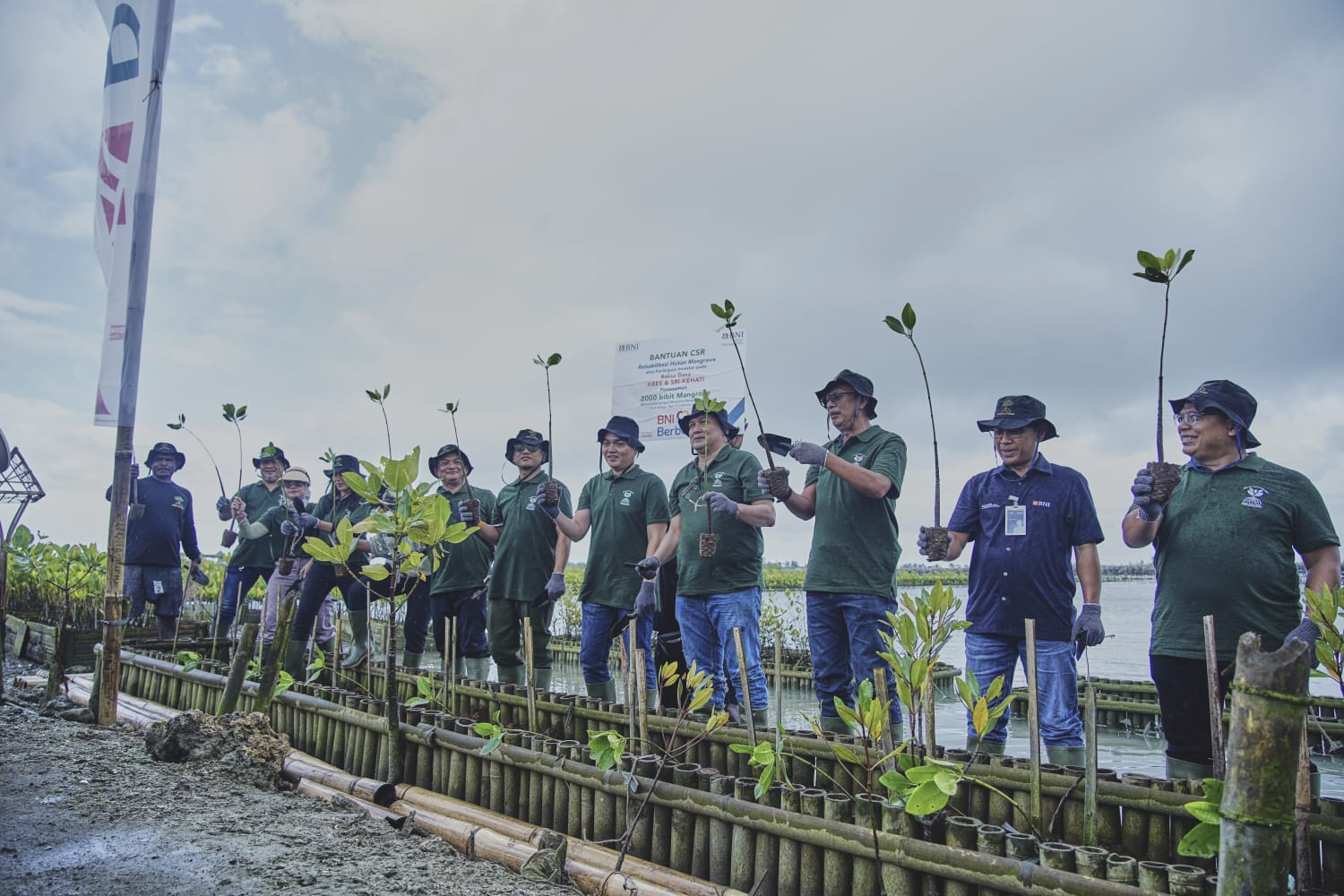 Peduli Lingkungan, BNI Tanam 2.000 Bibit Mangrove di Bali