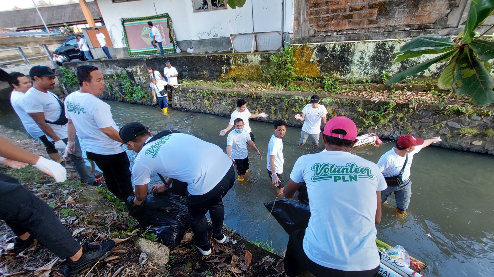 Aksi Pegawai PLN Terjunkan Relawan untuk Konservasi Sungai Teba di Bali