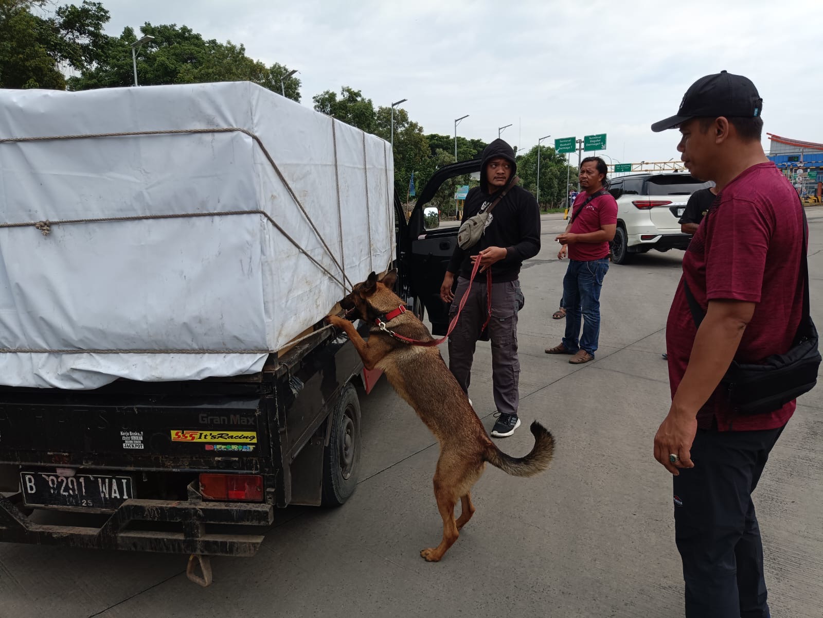 6 Anjing K9 Bantu Lacak Peredaran Narkoba di Pelabuhan Bakauheni, Ini Hasilnya