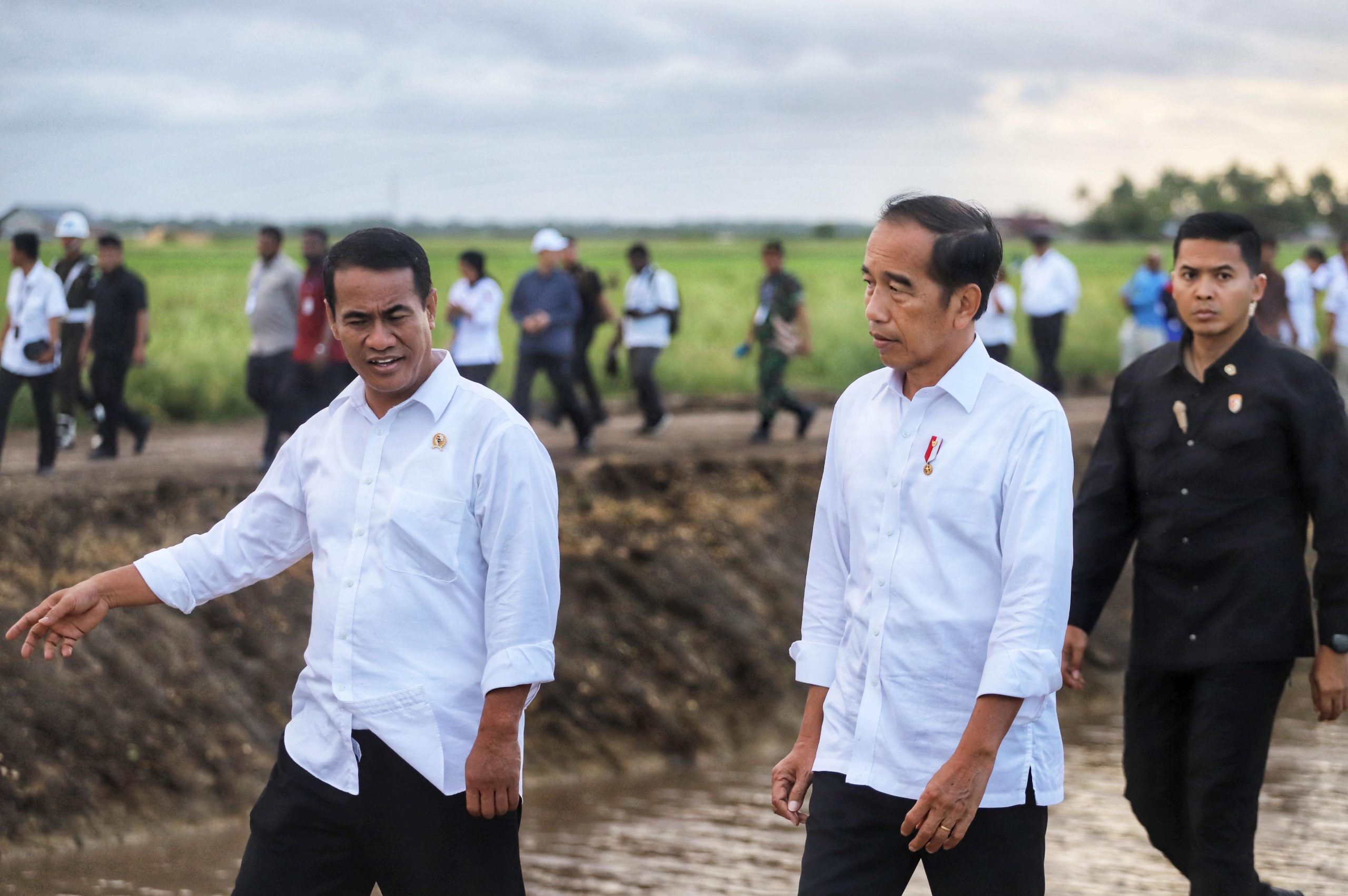 Presiden Mendukung Kembangkan Sawah di Merauke dengan Teknologi Canggih