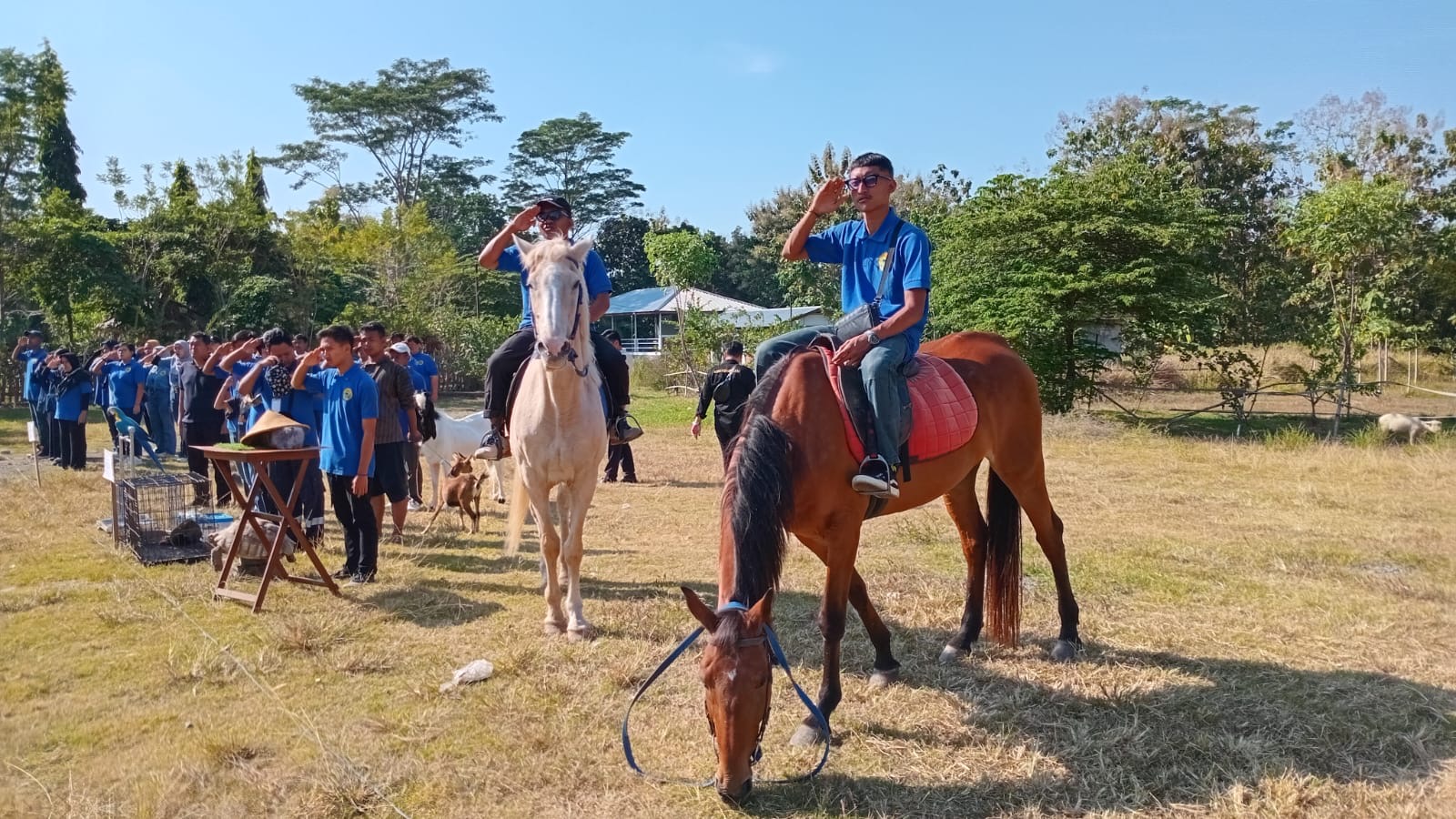 Kuda Presiden Terpilih Prabowo Semarakan Upacara Bendera HUT RI 79 di Mini Zoo Jogja Exotarium