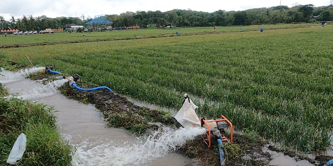 Petani Lampung Merasakan Manfaat Program Pompanisasi