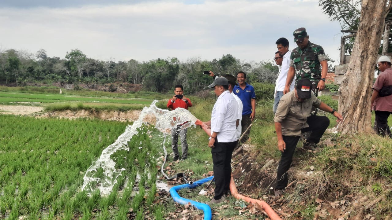 Program Pompanisasi Antisipasi Darurat Pangan Melanda Sejumlah Negara