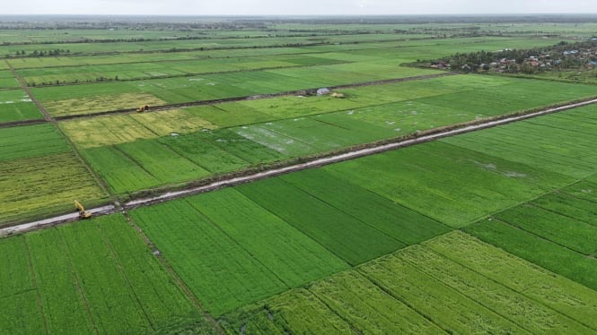 Terkait Cetak Sawah, Pemerintah Optimasi Lahan di Merauke Bagus Untuk Pertanian