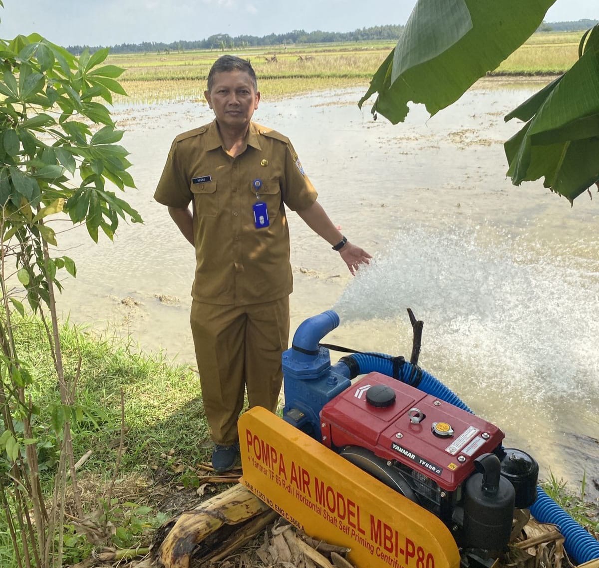 Pemerintah Berupaya Meningkatkan Produksi Nasional Dengan Memperluas Areal Tanam Lewat Pompanisai