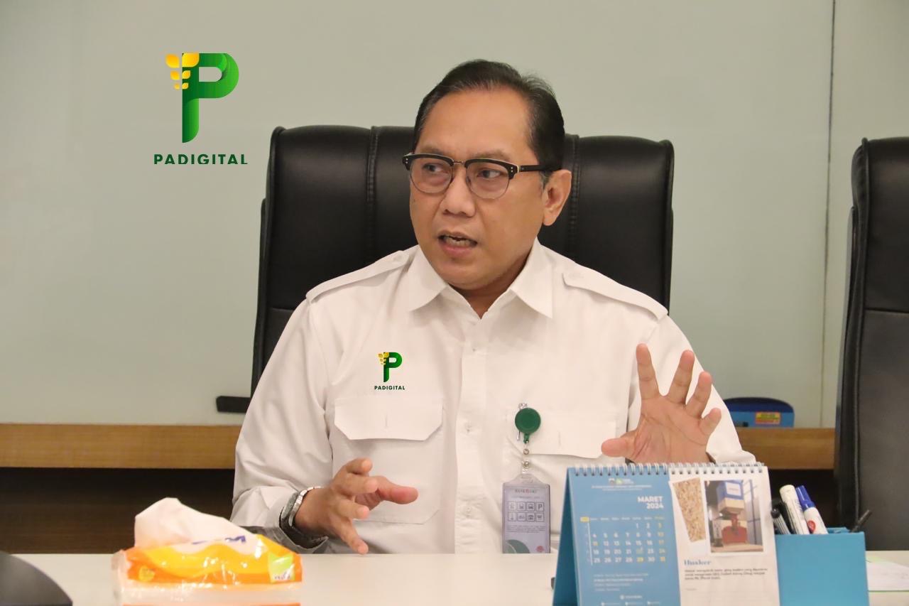 Direktur Utama Padigital: Penurunan Harga Gabah Mengindikasikan Produksi Dalam Negeri Berlimpah