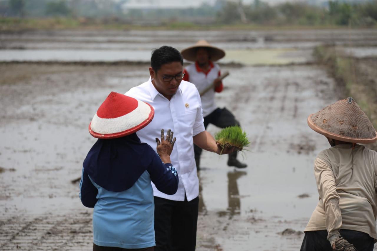 Cetak Sawah Cara Meningkatkan Kesejahteraan Petani dan Mengurangi Kemiskinan di Daerah Pedesaan