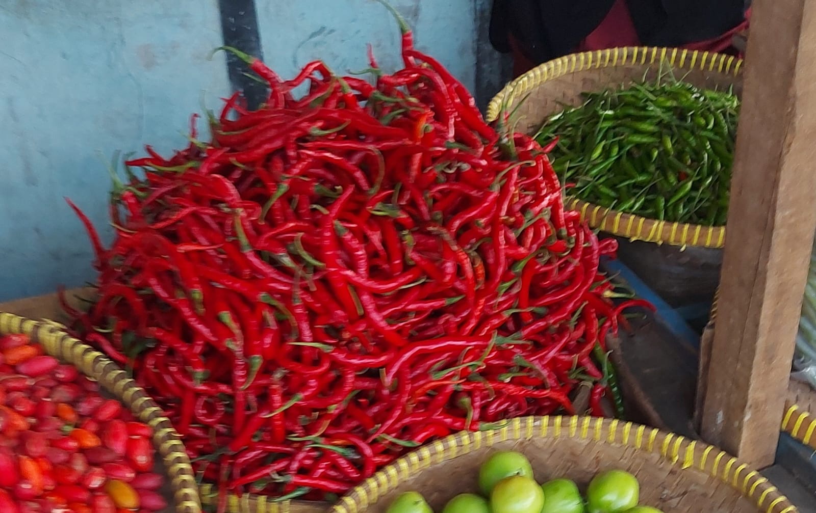 Keluhan Petani Terhadap Anjloknya Harga Cabai