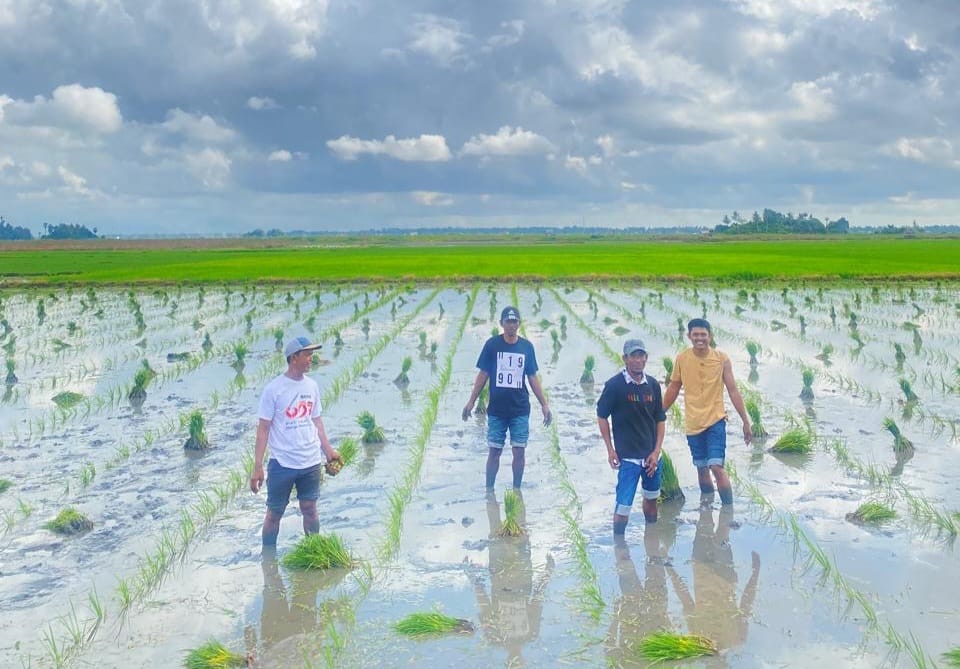 Penyederhanaan Aturan Penyaluran Langsung ke Petani Solusi Efektif Mempercepat Akses Pupuk Tepat Sasaran