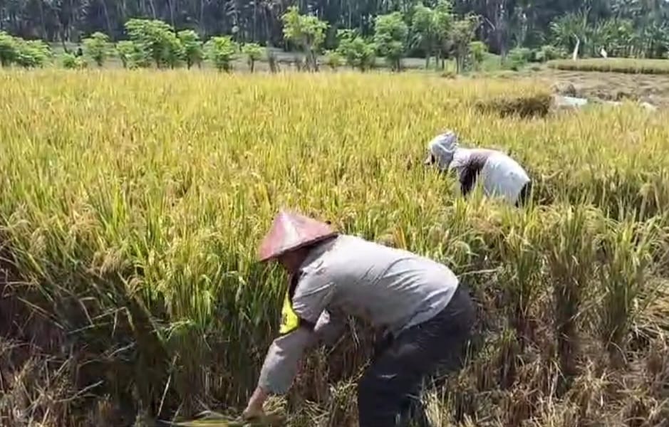 Bukti Nyata Komitmen Polri Dukung Visi Besar Pemerintah Wujudkan Indonesia Tangguh dan Mandiri di Sektor Pangan