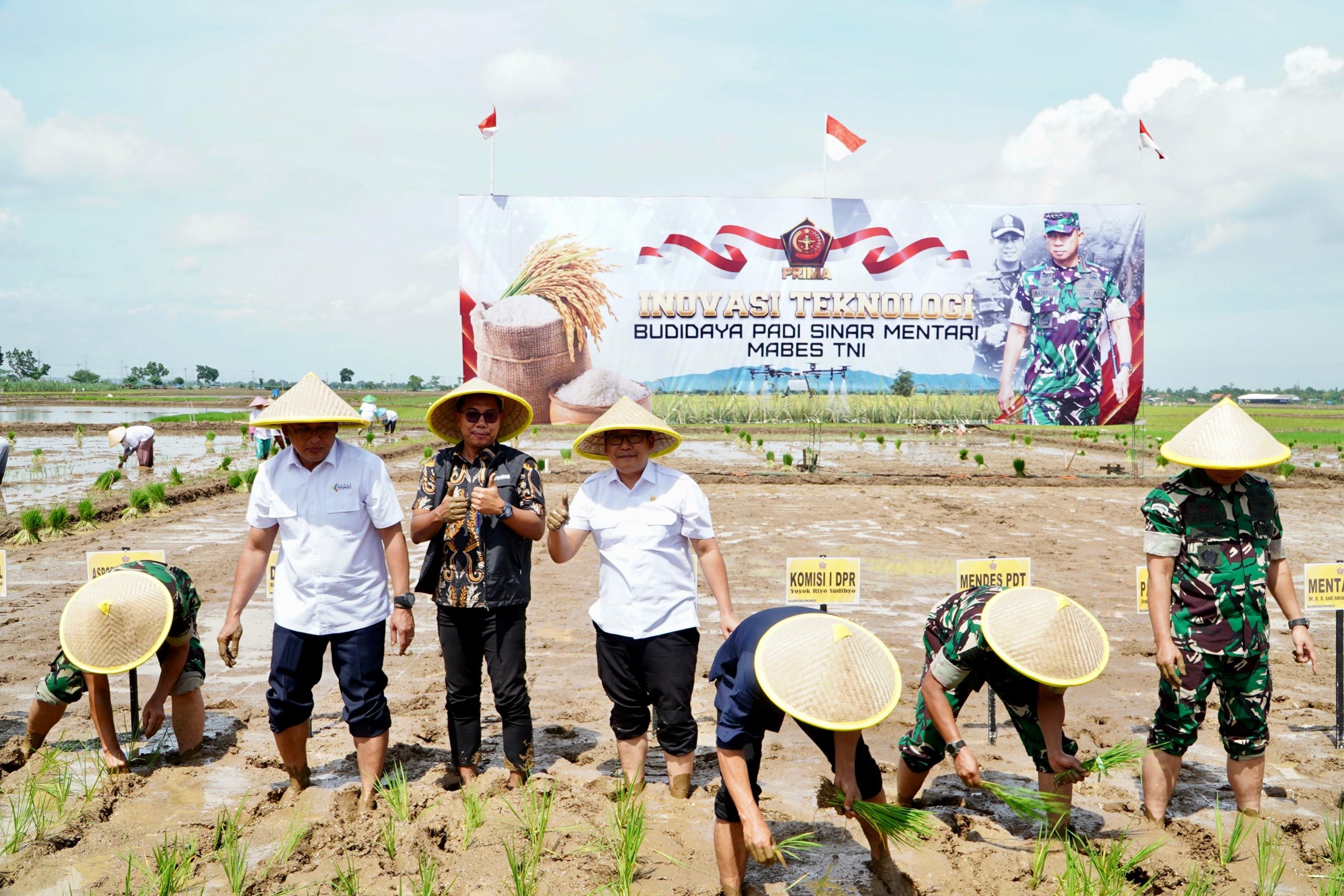 Setelah Berkordinasi Dengan Bulog,  Kepala NFA Pastikan Menyerap Seluruh Hasil Panen Petani Dengan Harga Cukup Tinggi