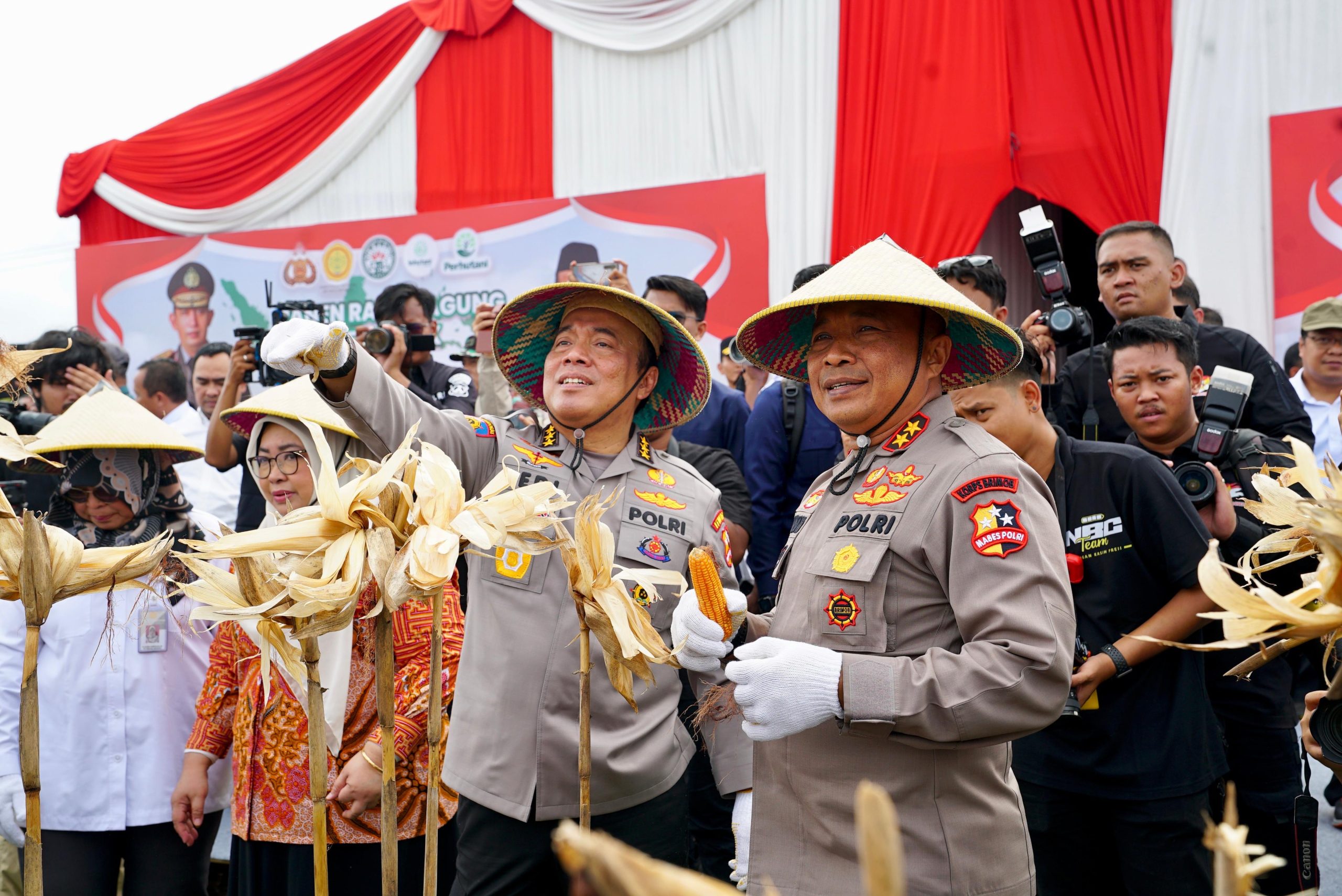 Irwasum Polri Pimpin Panen Jagung Serentak di Madiun, Wujudkan Astacita Irwasum Polri Pimpin Panen Jagung Serentak di Madiun, Wujudkan Astacita