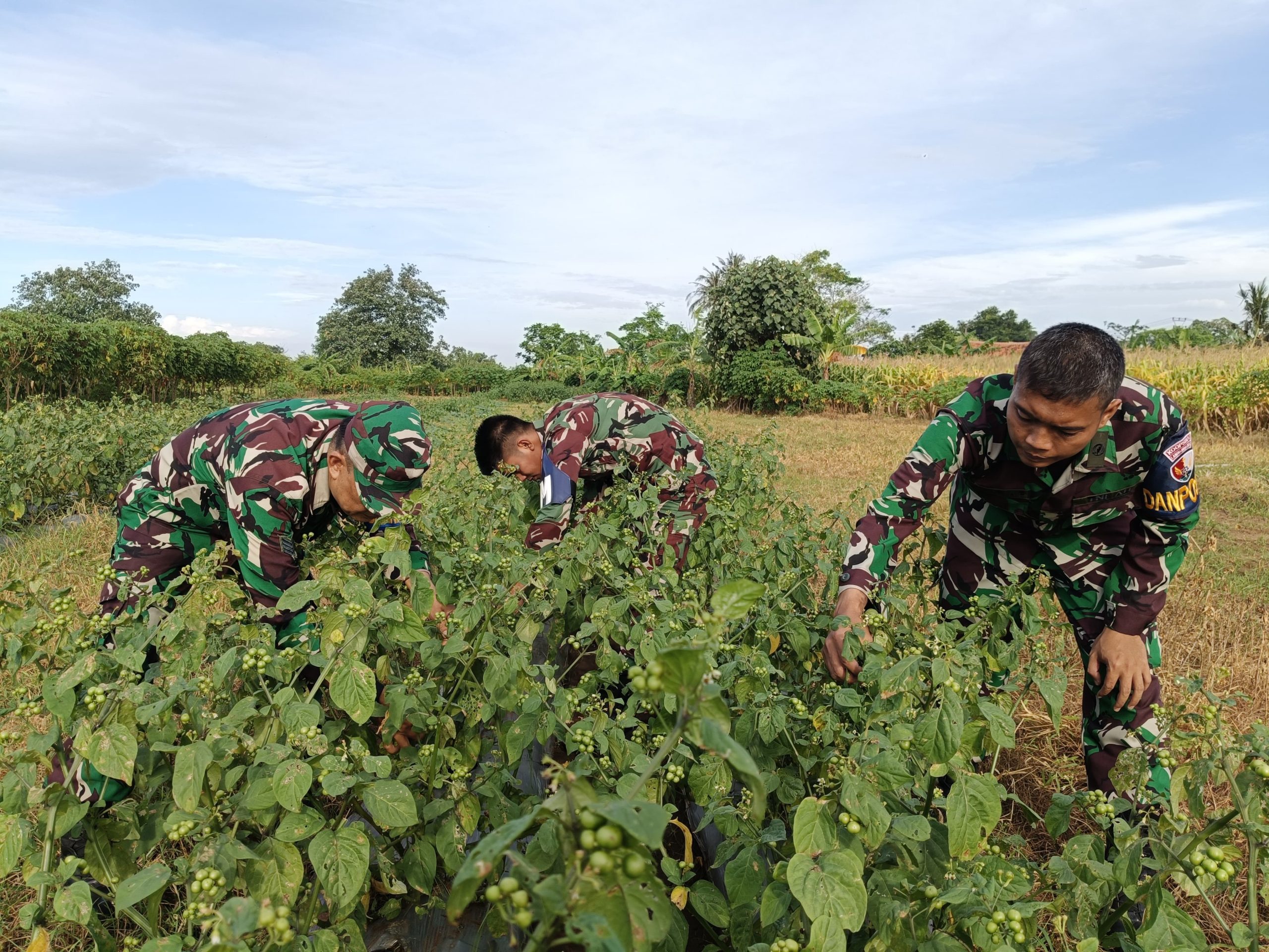 Danlanud Husein Sastranegara Tegaskan Program Ketahanan Pangan Bagian Sinergisitas TNI AU Dengan Masyarakat