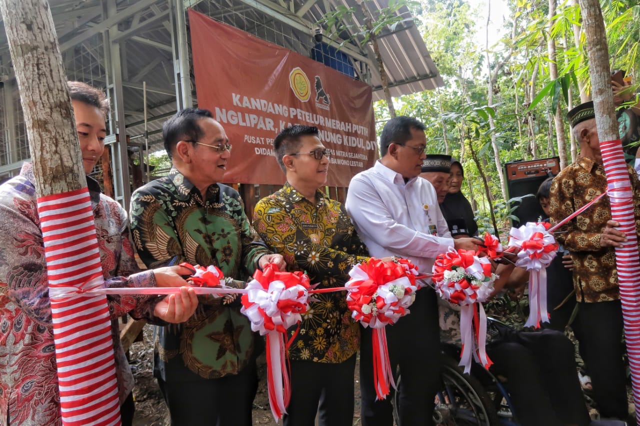 Charoen Pokphand Hibahkan Kandang dan Ayam Petelur Pusat Disabilitas Gunung Kidul Charoen Pokphand Hibahkan Kandang dan Ayam Petelur Pusat Disabilitas Gunung Kidul