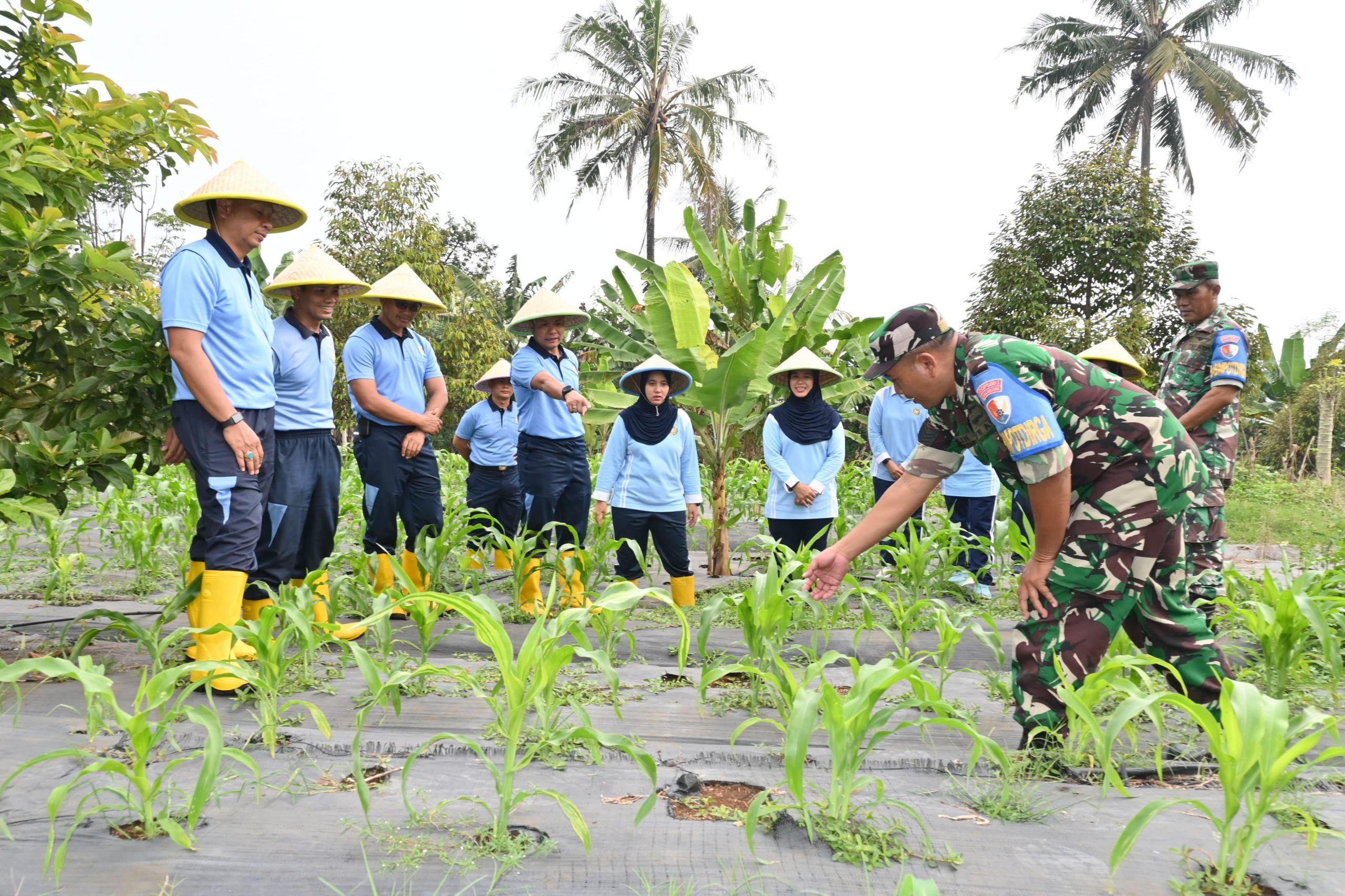 Danlanud Apresiasi Pemanfaatan Lahan Menjadi Sumber Pangan Bermanfaat Bagi Masyarakat Danlanud Apresiasi Pemanfaatan Lahan Menjadi Sumber Pangan Bermanfaat Bagi Masyarakat