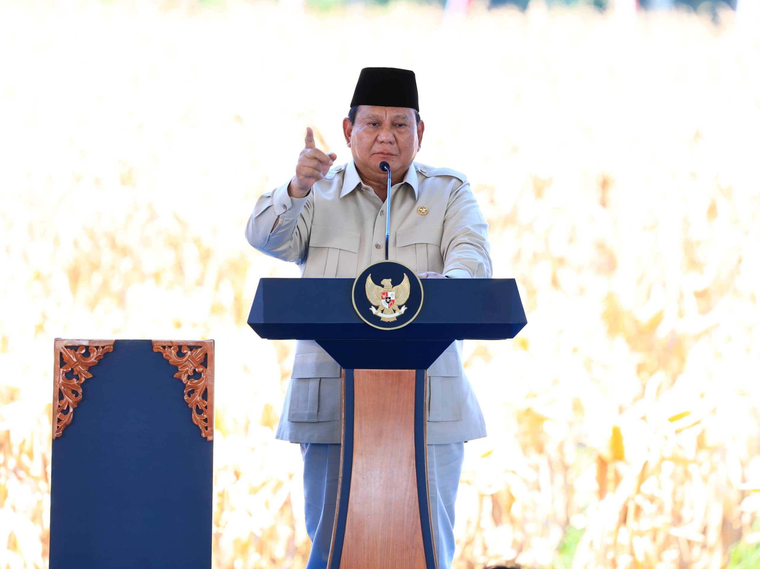 Presiden Apresiasi Peran Polri dan Koperasi dalam Panen Raya Jagung di Bengkayang Presiden Apresiasi Peran Polri dan Koperasi dalam Panen Raya Jagung di Bengkayang