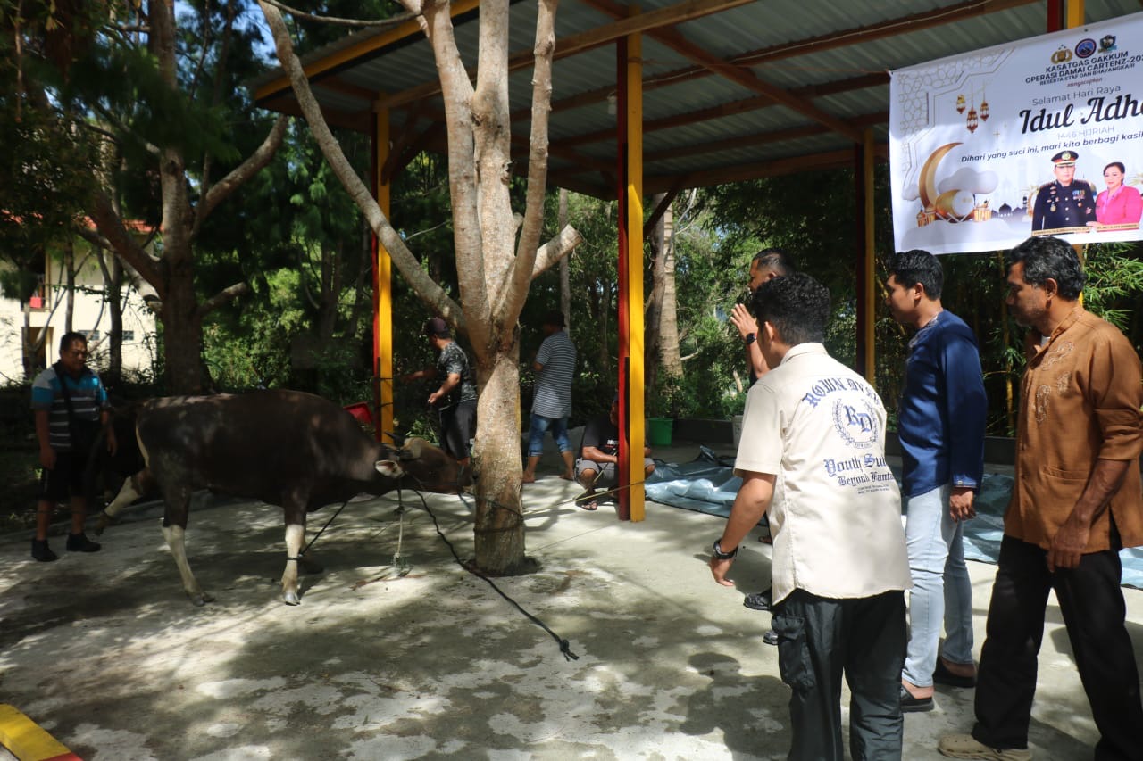 Idul Adha 1446 H, Satgas Gakkum ODC-2025 Sembelih 2 Ekor Sapi di Posko Jayapura Idul Adha 1446 H, Satgas Gakkum ODC-2025 Sembelih 2 Ekor Sapi di Posko Jayapura