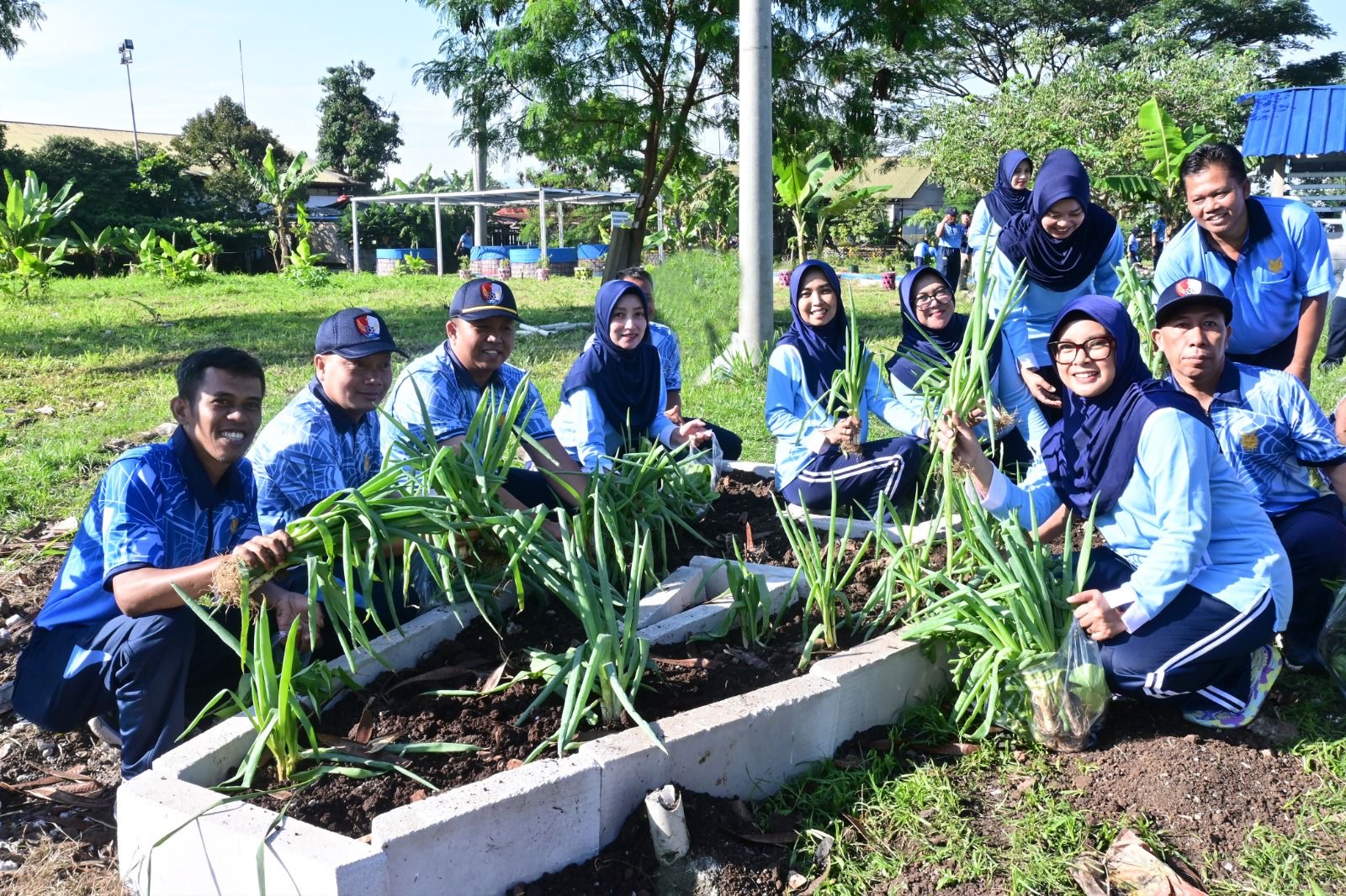 Optimalisasi Lahan Lanud Husein Sastranegara: Panen Sayuran Wujudkan Ketahanan Pangan