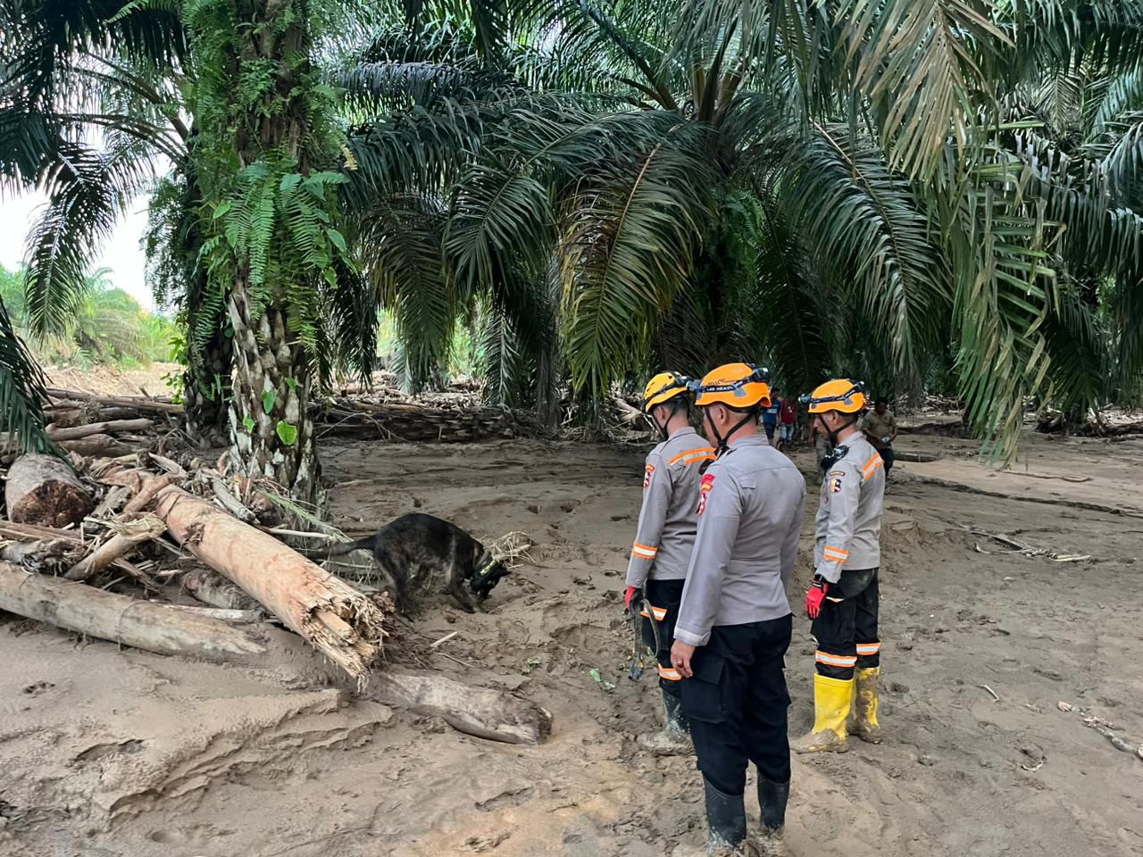 Tim K9 Ditpolsatwa Baharkam Polri Bantu Pencarian Korban Bencana di Bantaran Sungai Huta Raja