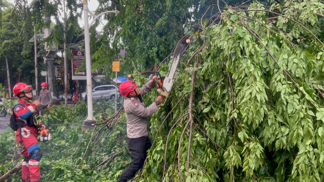 Tim SAR Ditsamapta Patroli Jaga Jakarta Tangani Pohon Tumbang di Jakpus Tim SAR Ditsamapta Patroli Jaga Jakarta Tangani Pohon Tumbang di Jakpus